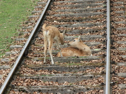 Voyage à Marlow - mai 2025