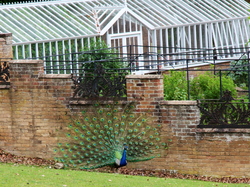 Voyage à Marlow - mai 2025